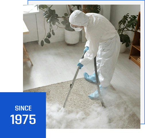 Dr Carpet Clean